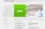 Spinter tyrimai - internetinė svetainė - Spinter tyrimai